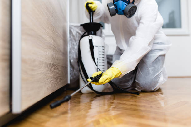 Trusted Washington, MO Pest Control Experts