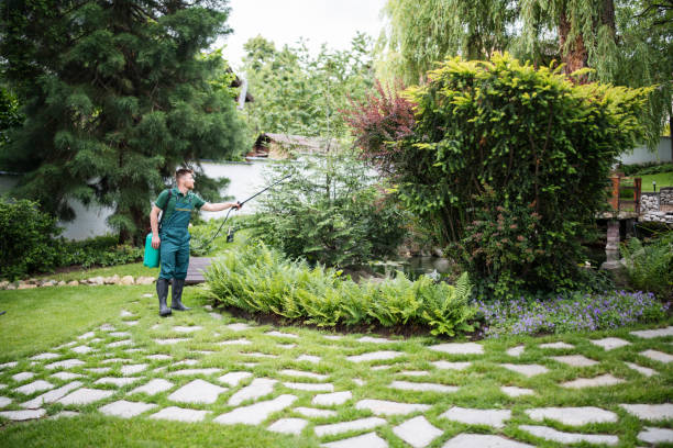 Best Pest Removal Services  in Washington, MO