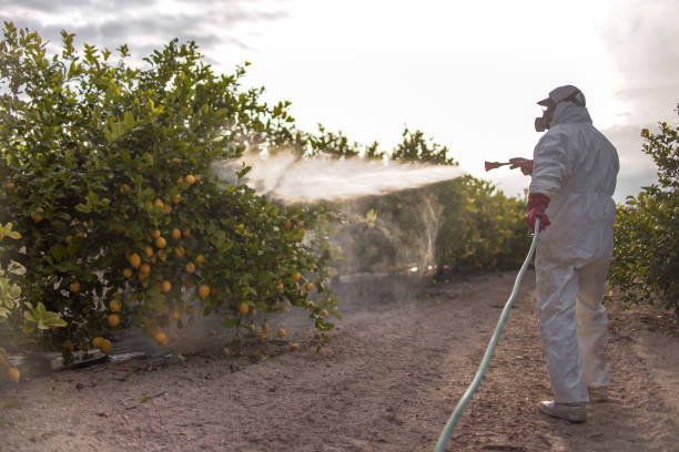 Best Exterminator Services  in Washington, MO