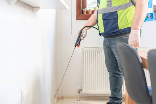 Best Termite Control Services  in Washington, MO