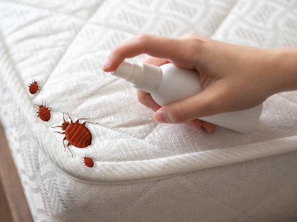 Trusted Washington, MO Pest Control Experts